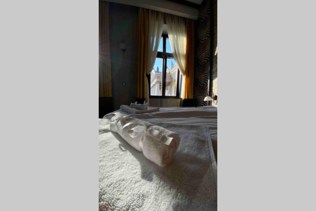 Safari Royal Apartment Oradea Extérieur photo